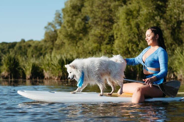 Best Dog Splash Pads – Long-Lasting Outdoor Play